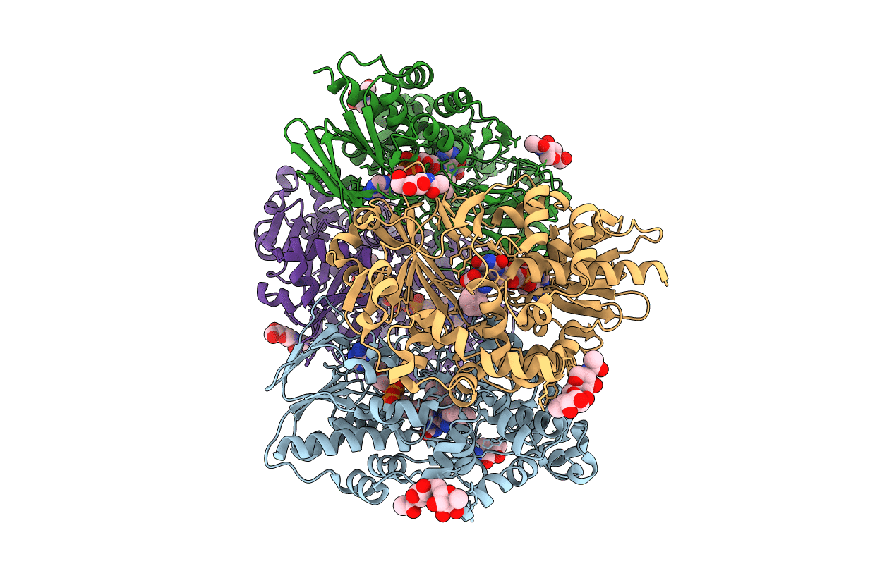 2IID image