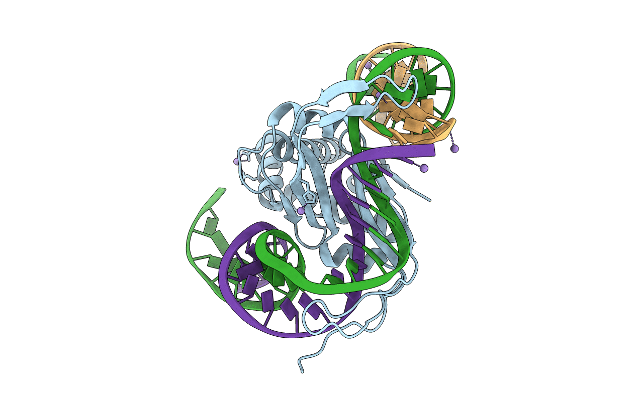 2IIE image