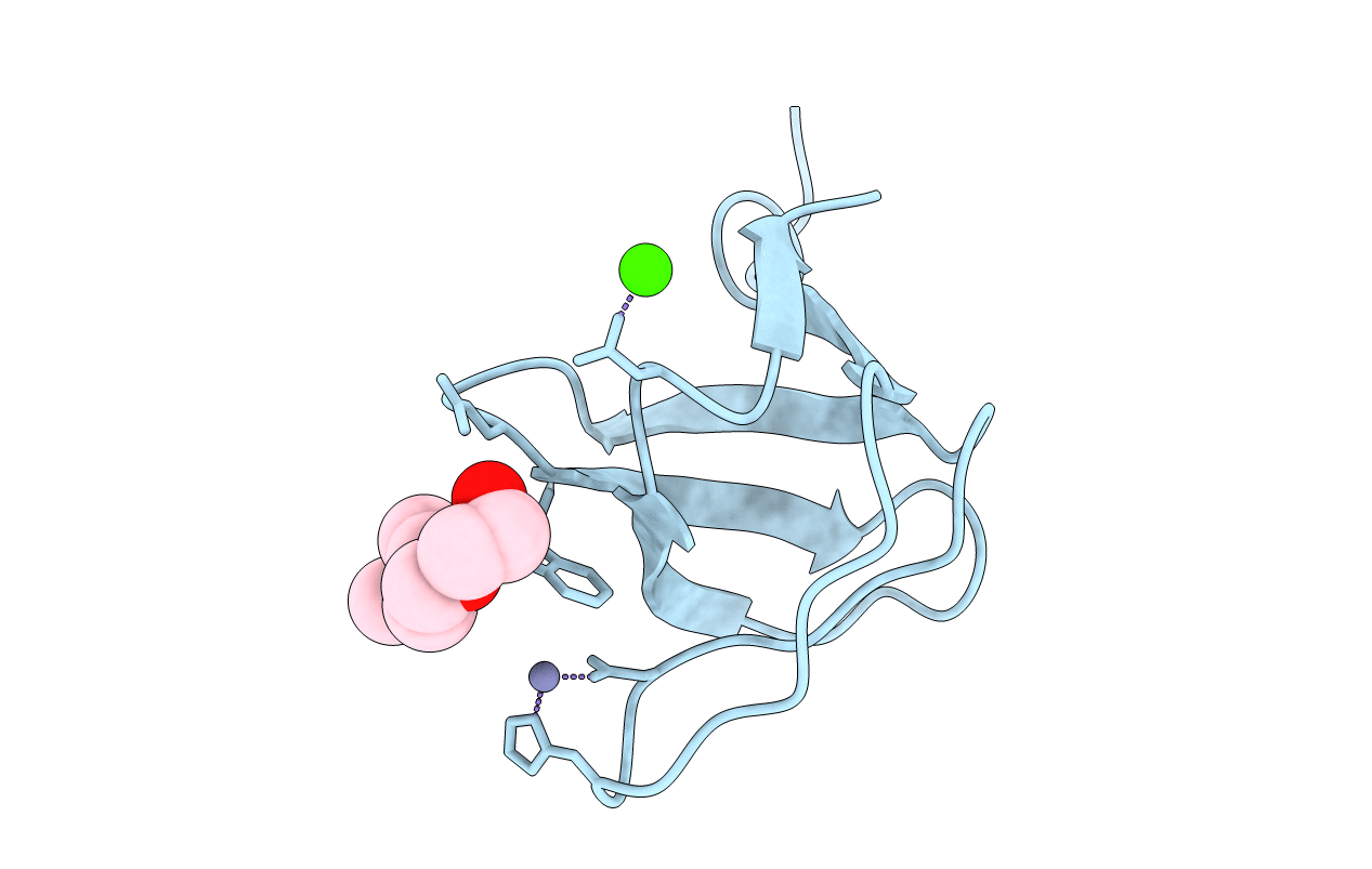 2IIM image