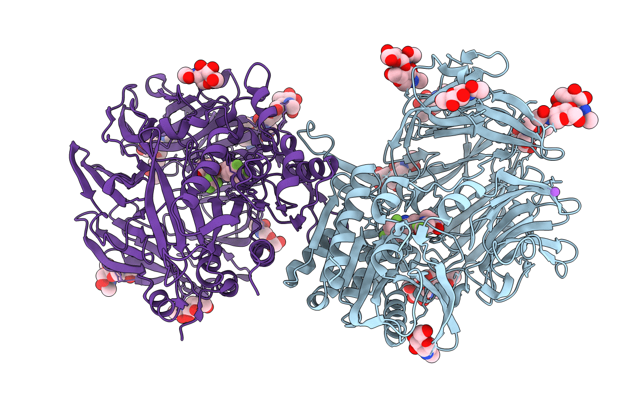 2IIT image