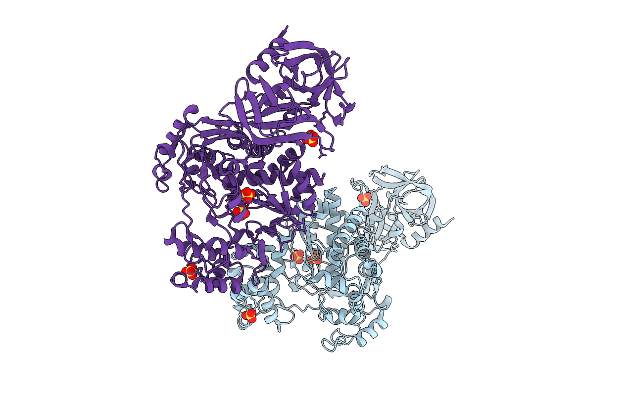 2IJD image