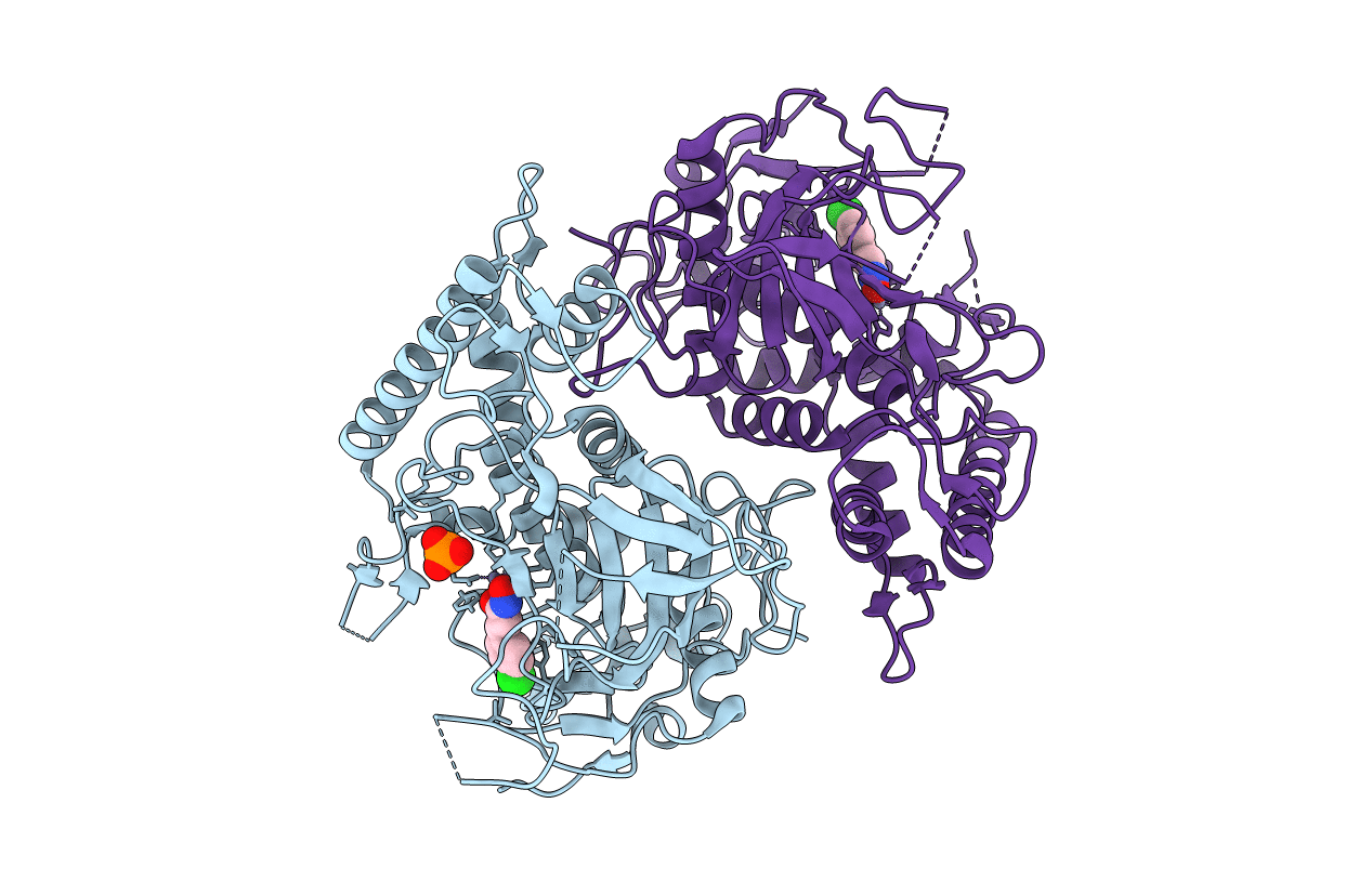 2ILP image