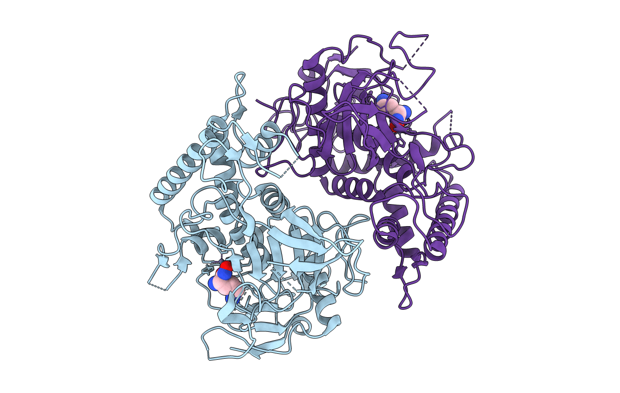 2IMB image