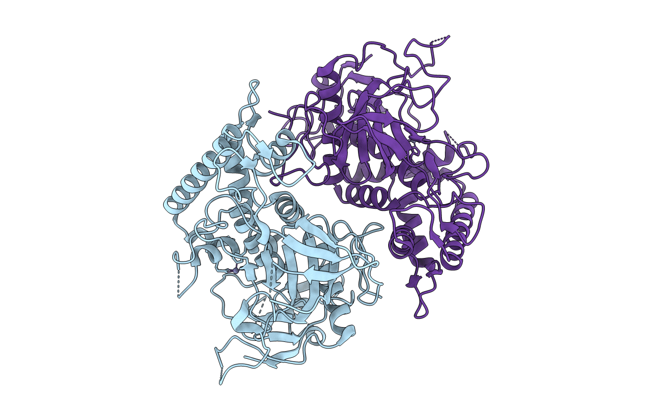 2IMC image