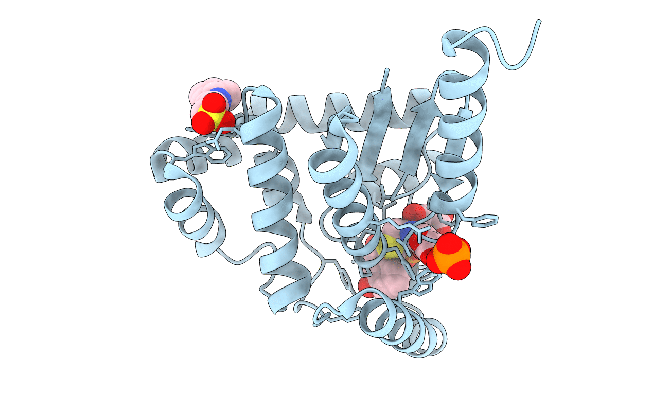 2IMD image