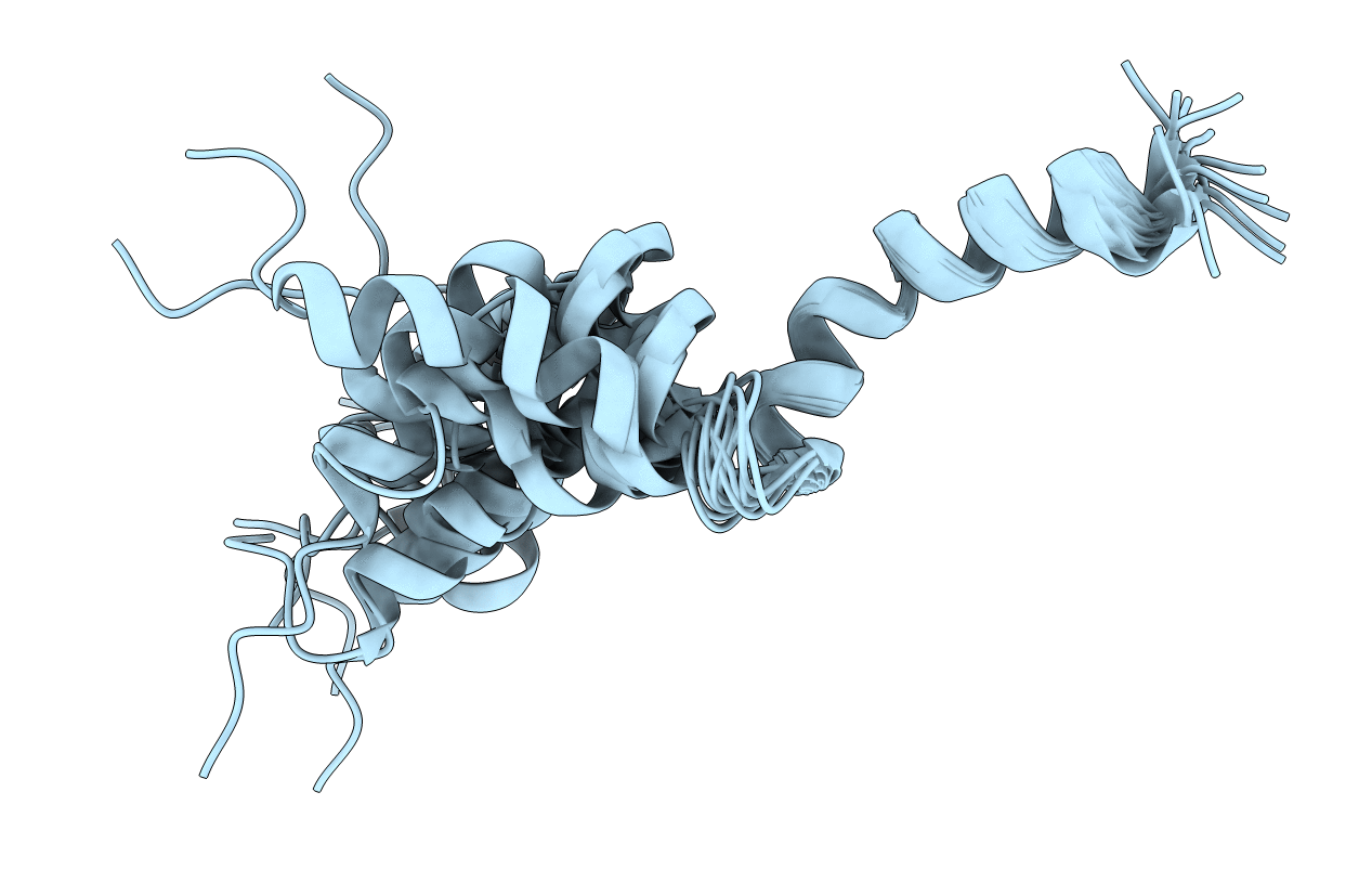2IMU image