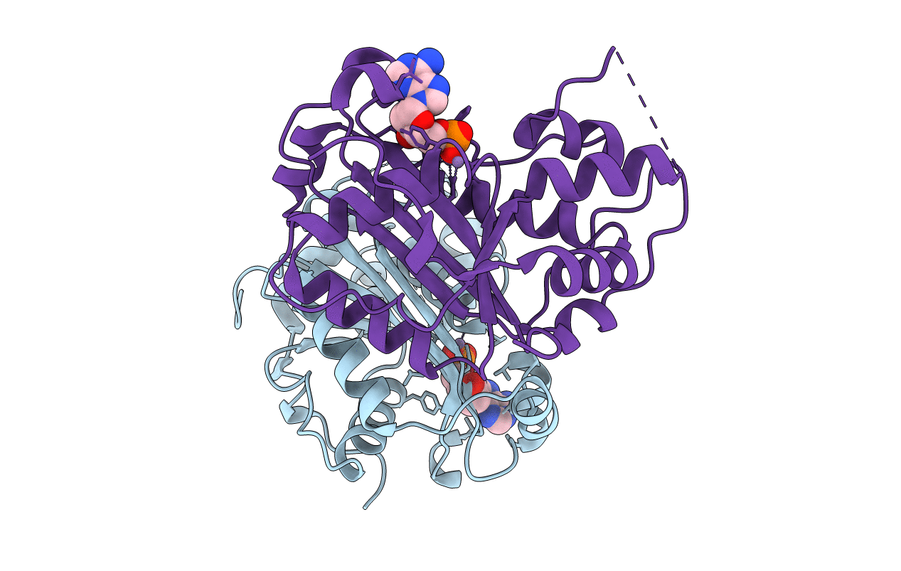 2IOC image