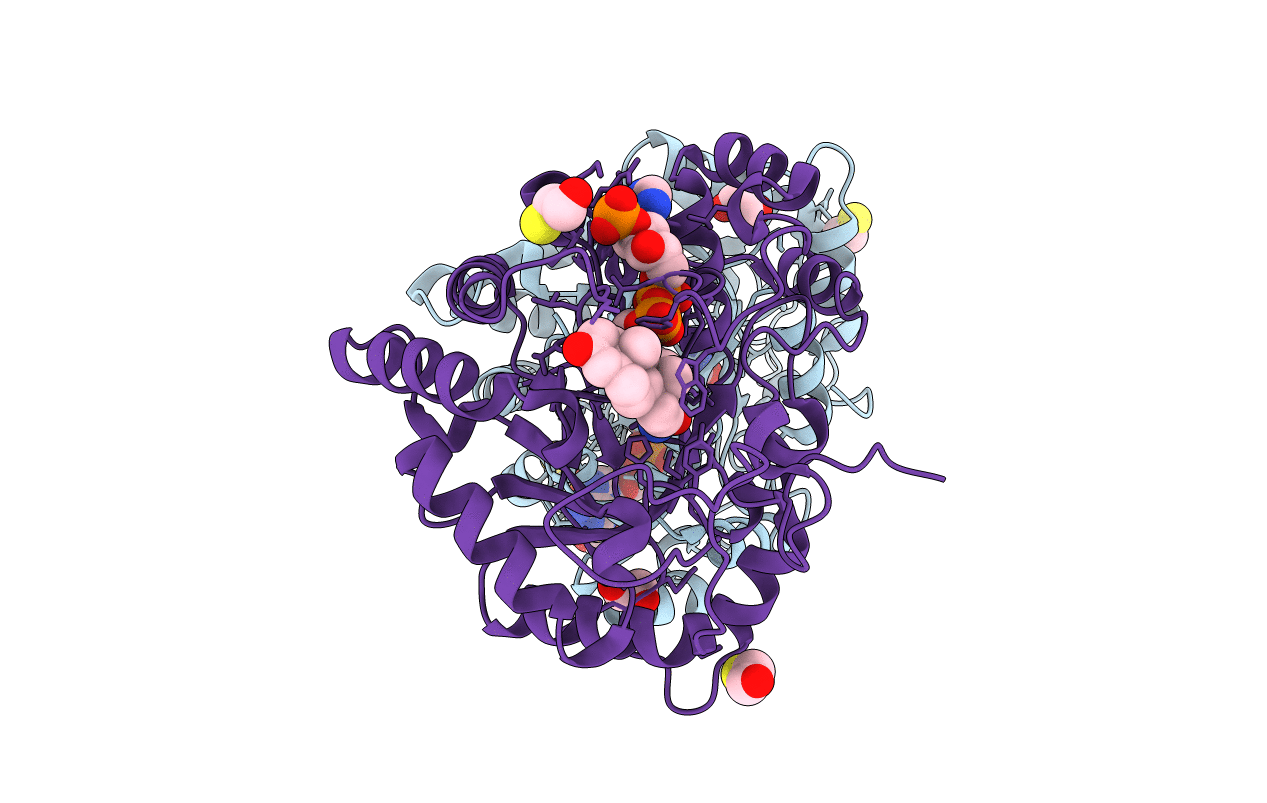 2IPG image