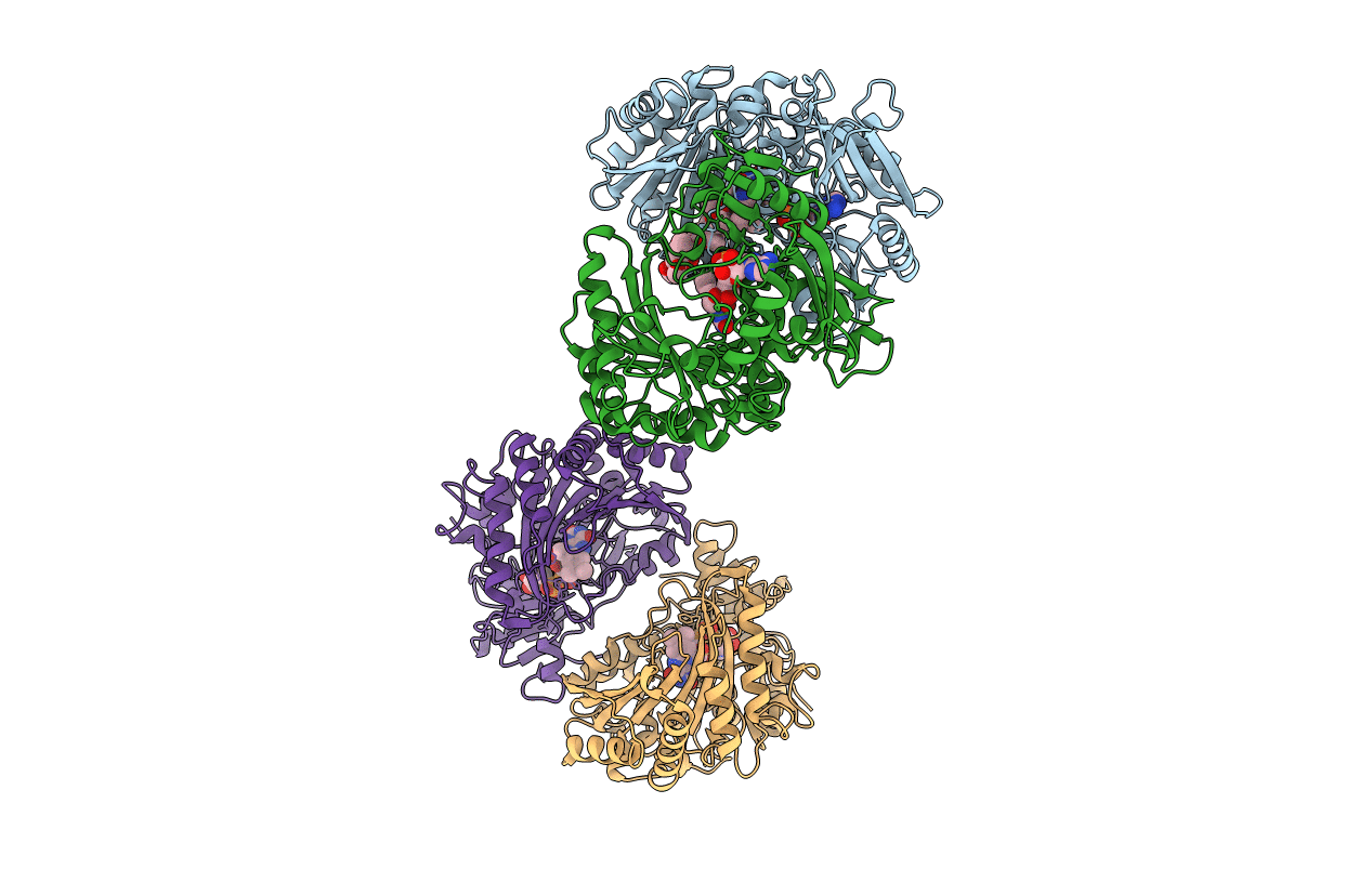 2IPI image
