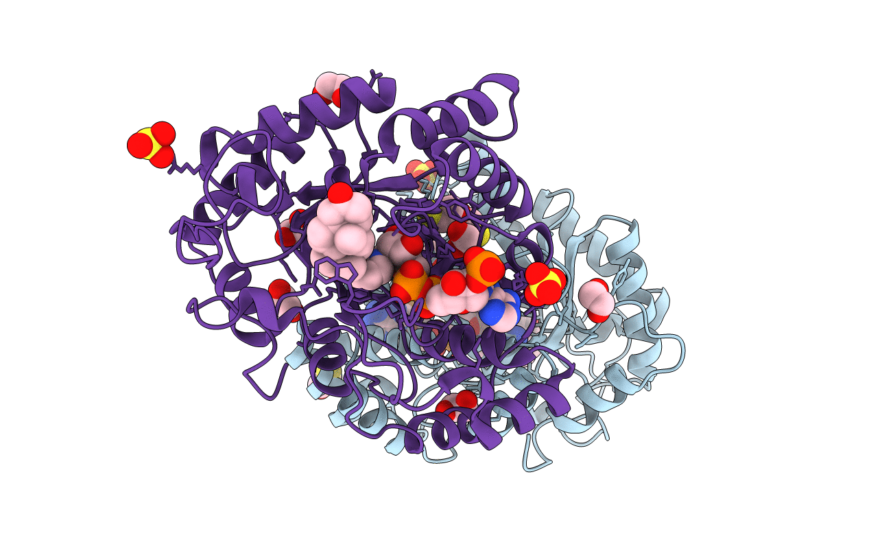 2IPJ image