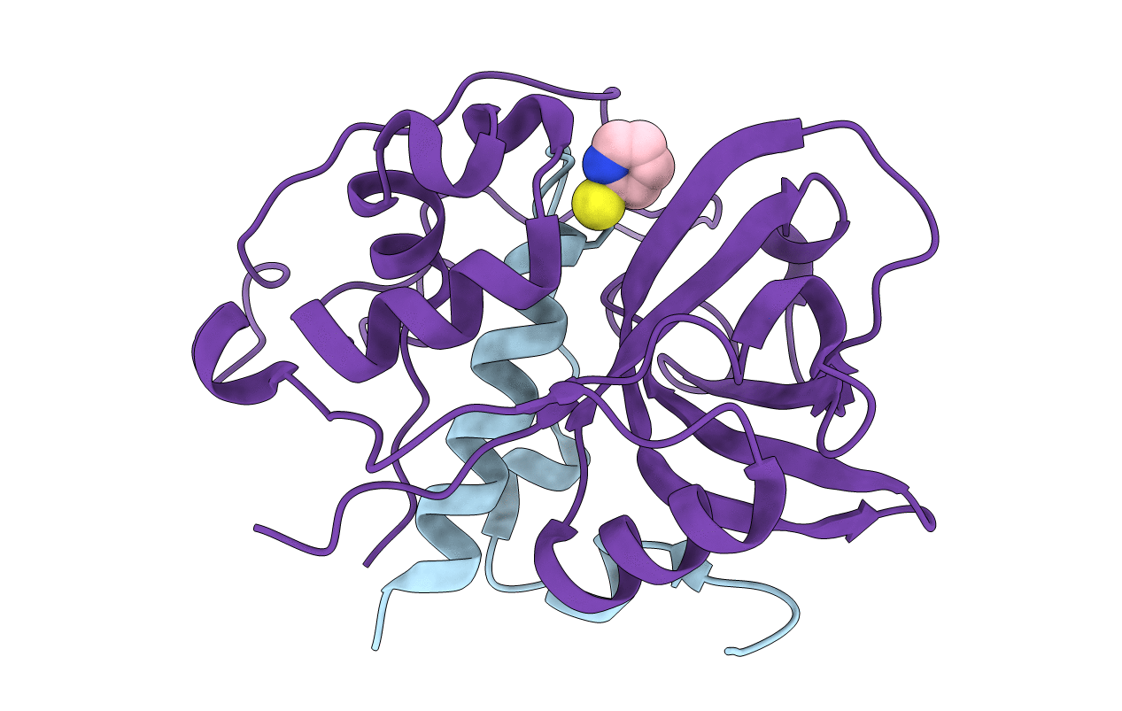 2IPP image