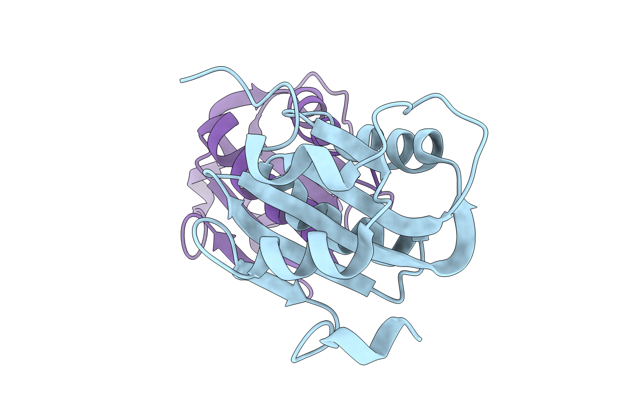 2IPR image