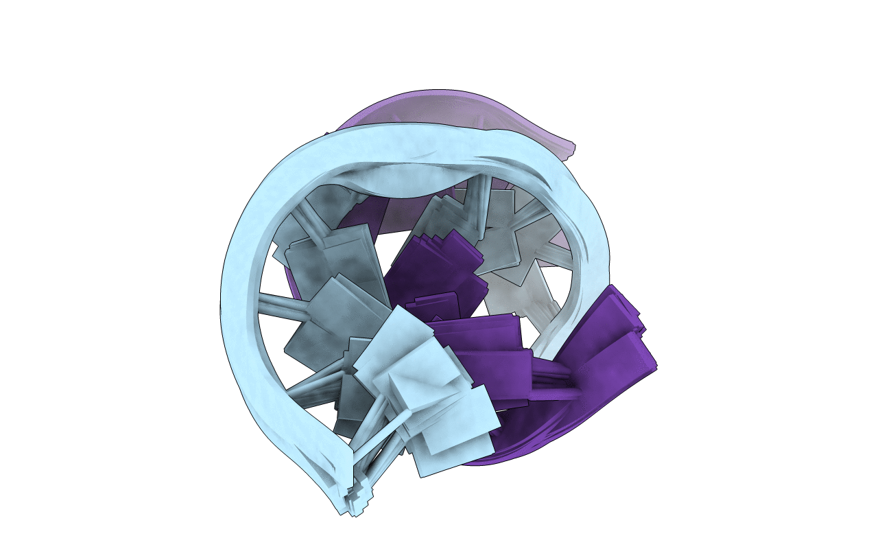 2IRN image