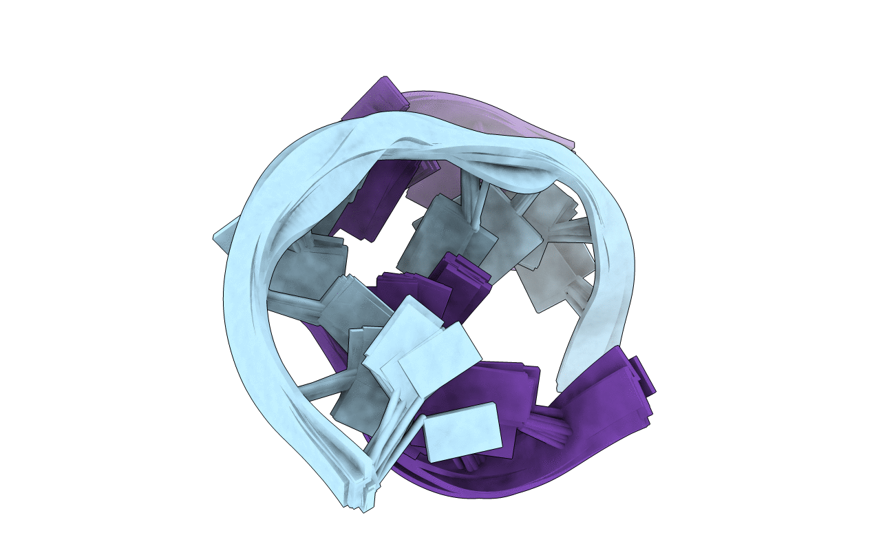 2IRO image
