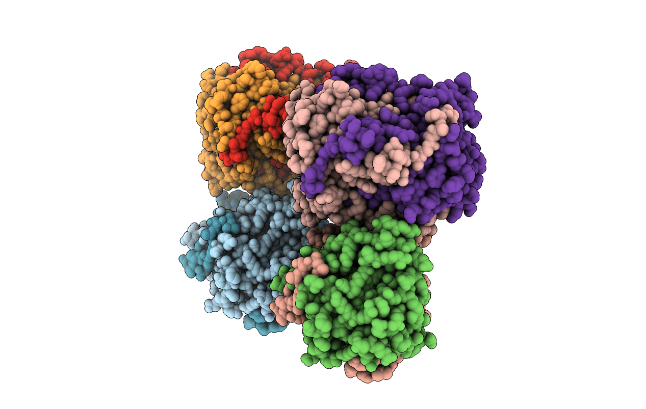 2ISJ image