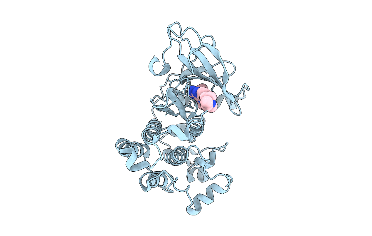 2ITP image