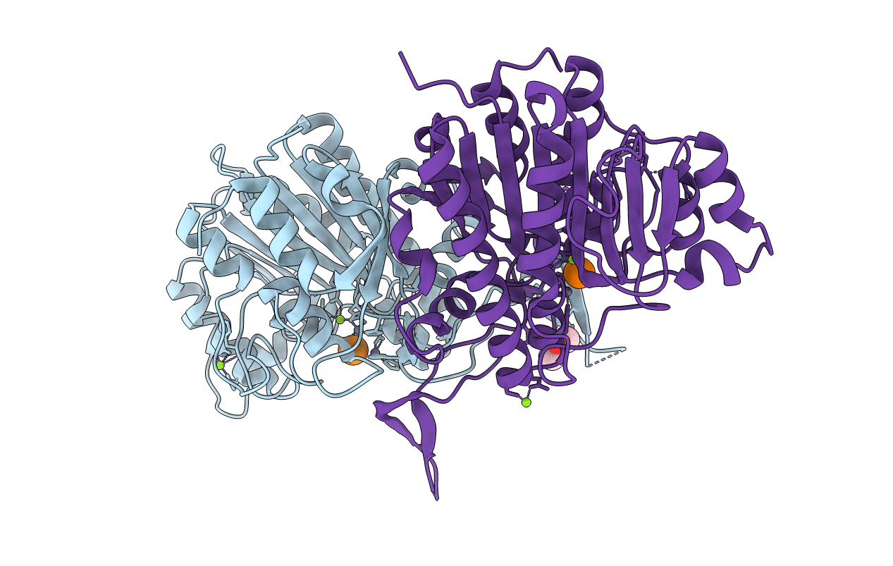 2IUC image