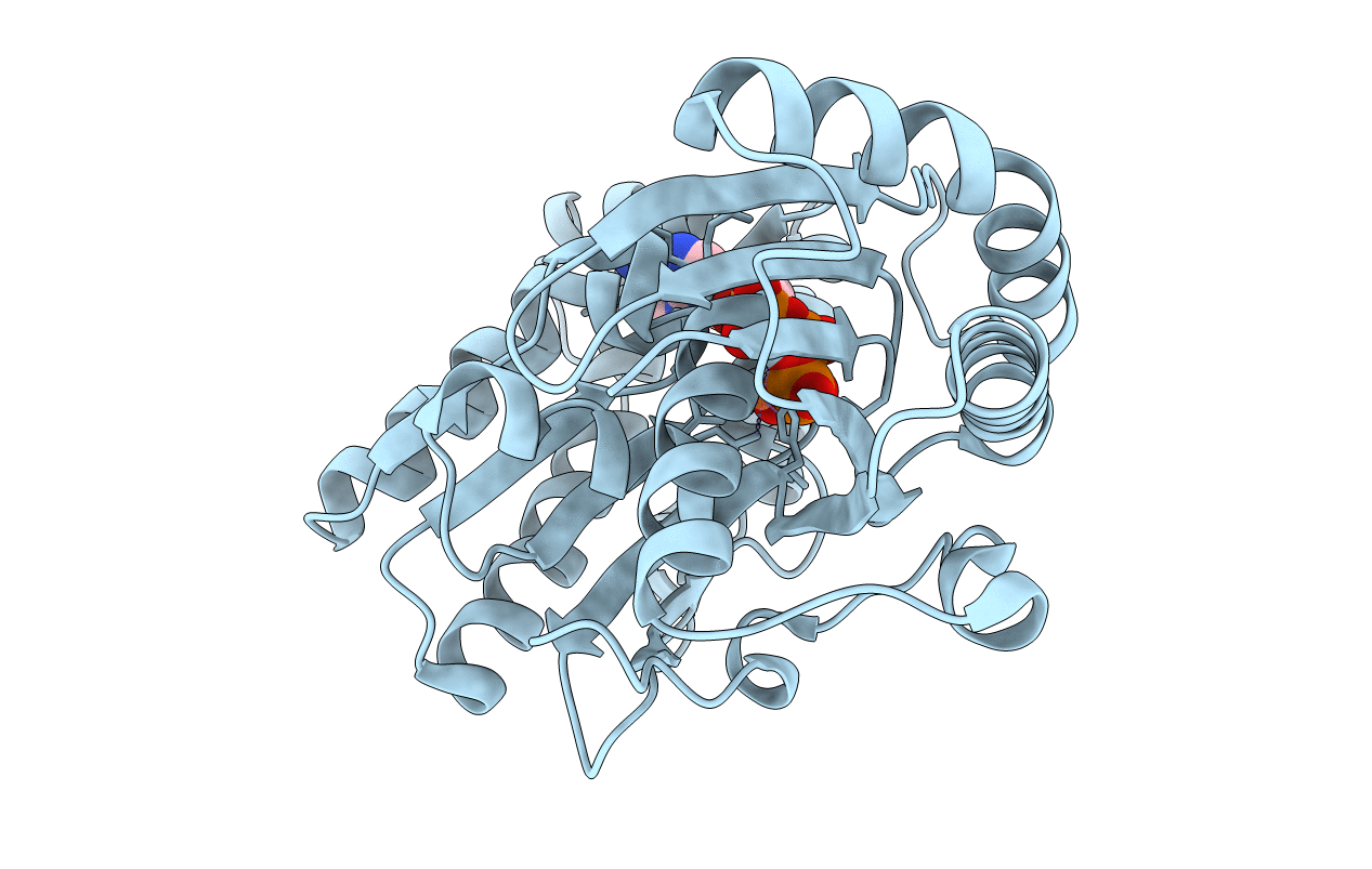 2IVP image