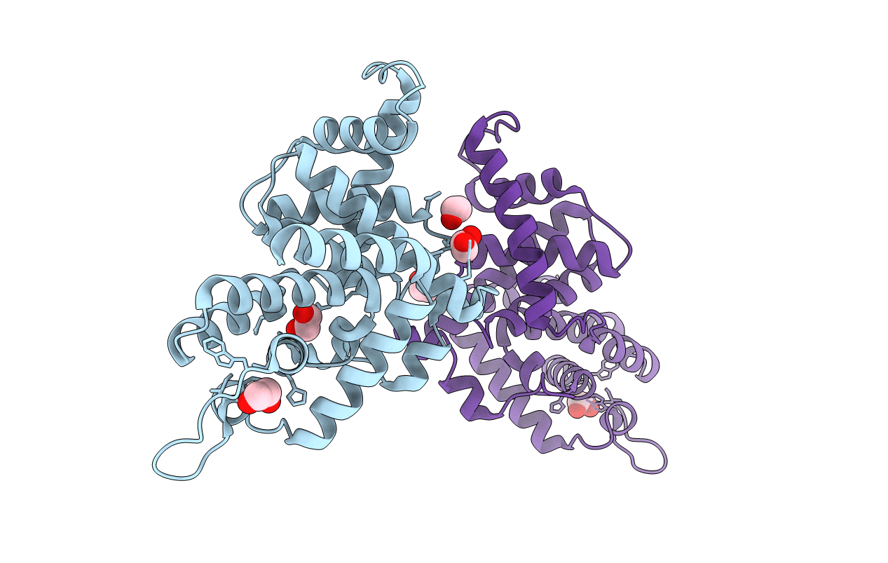 2IVX image