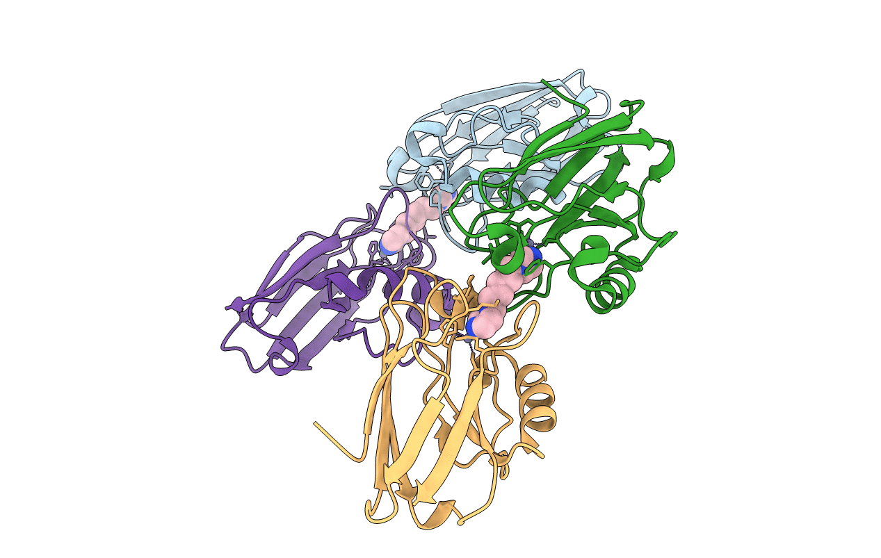 2IWE image