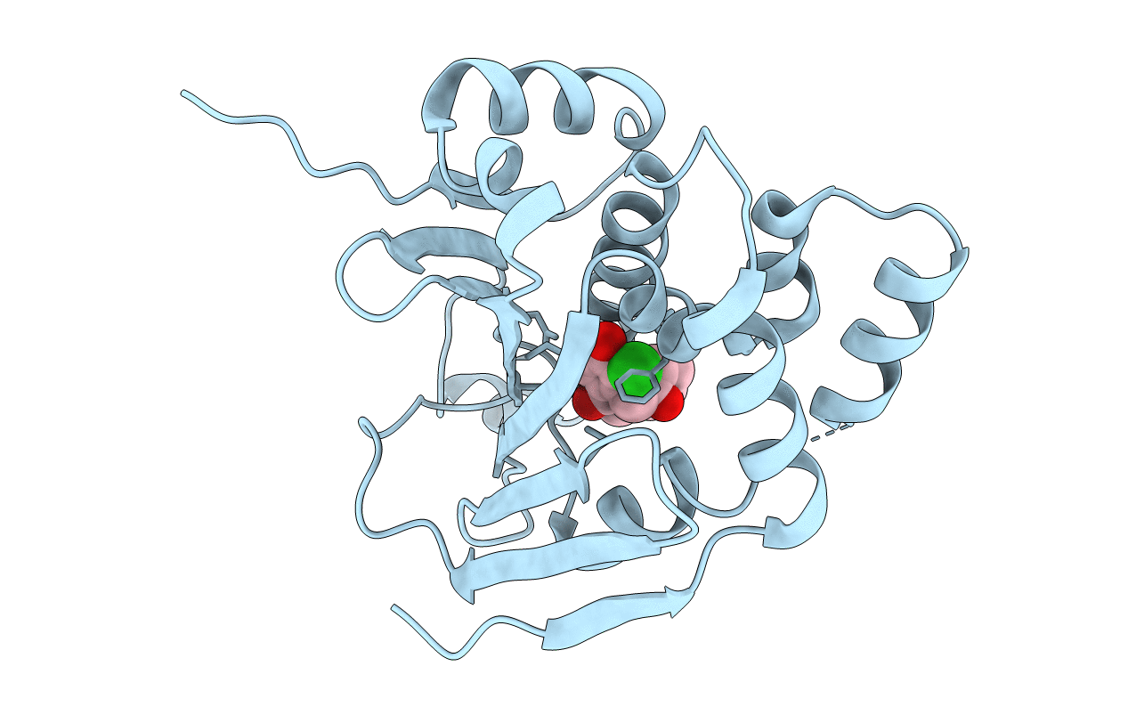 2IWS image