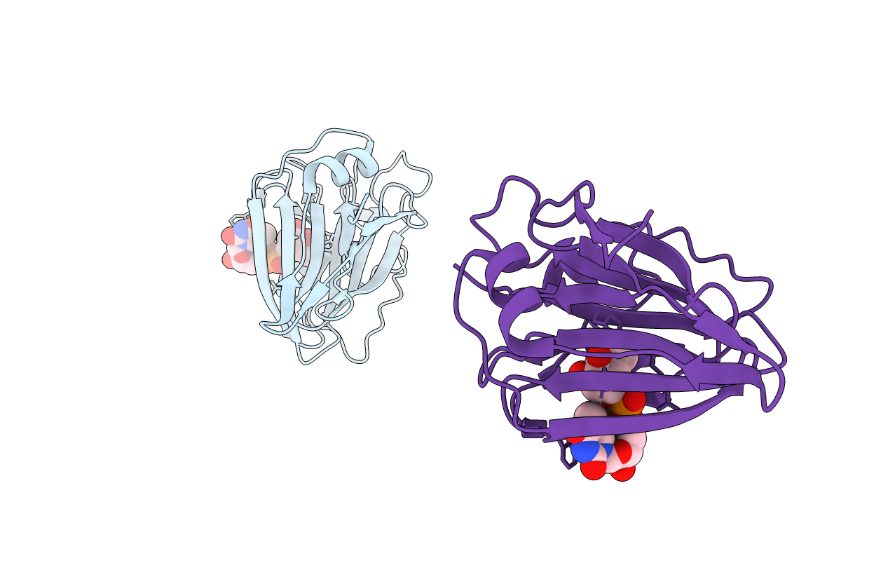 2IXH image