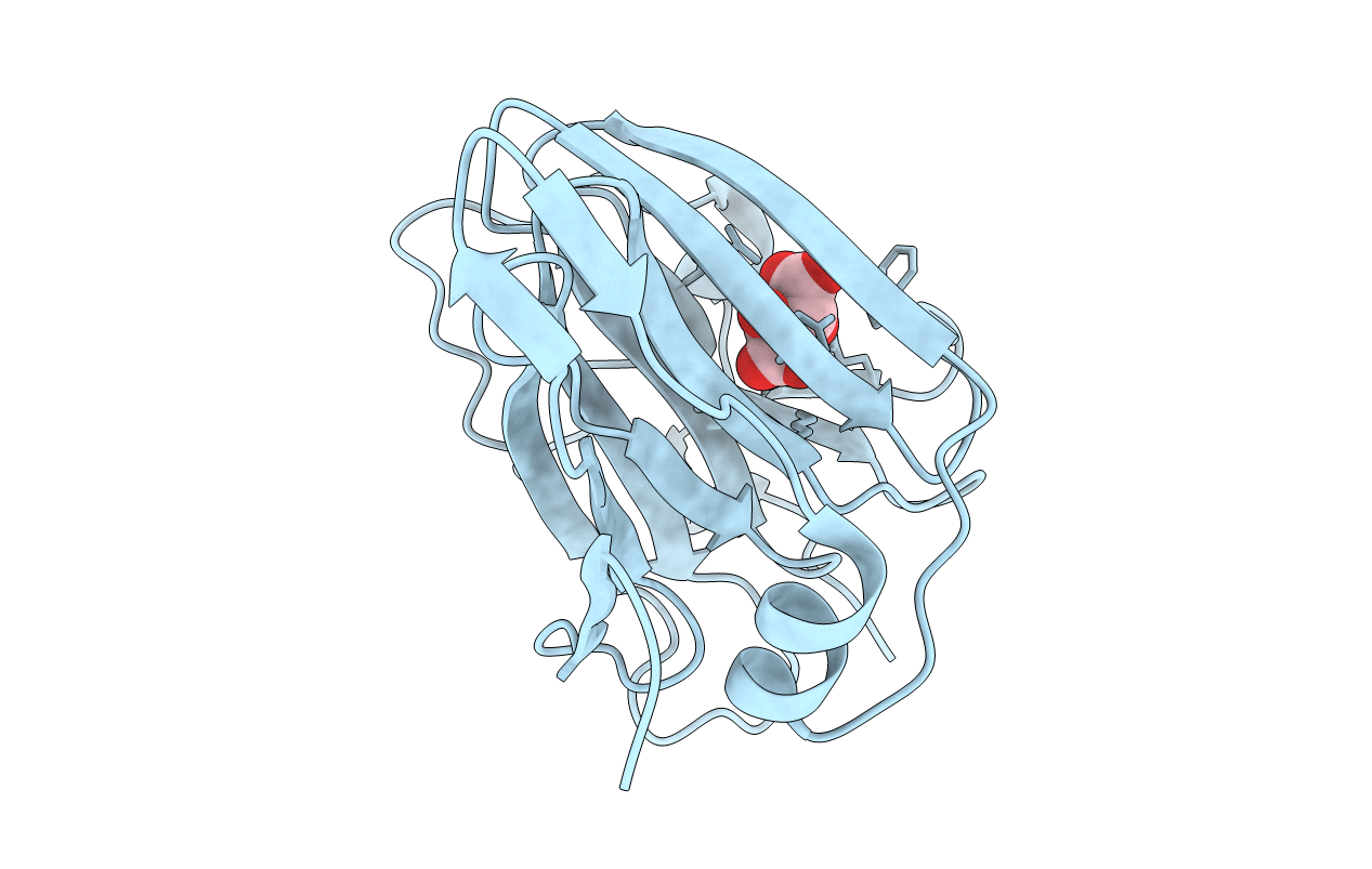 2IXJ image
