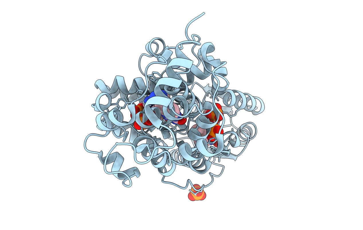 2J09 image