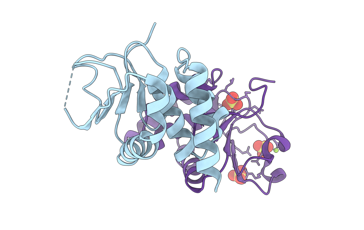 2J16 image