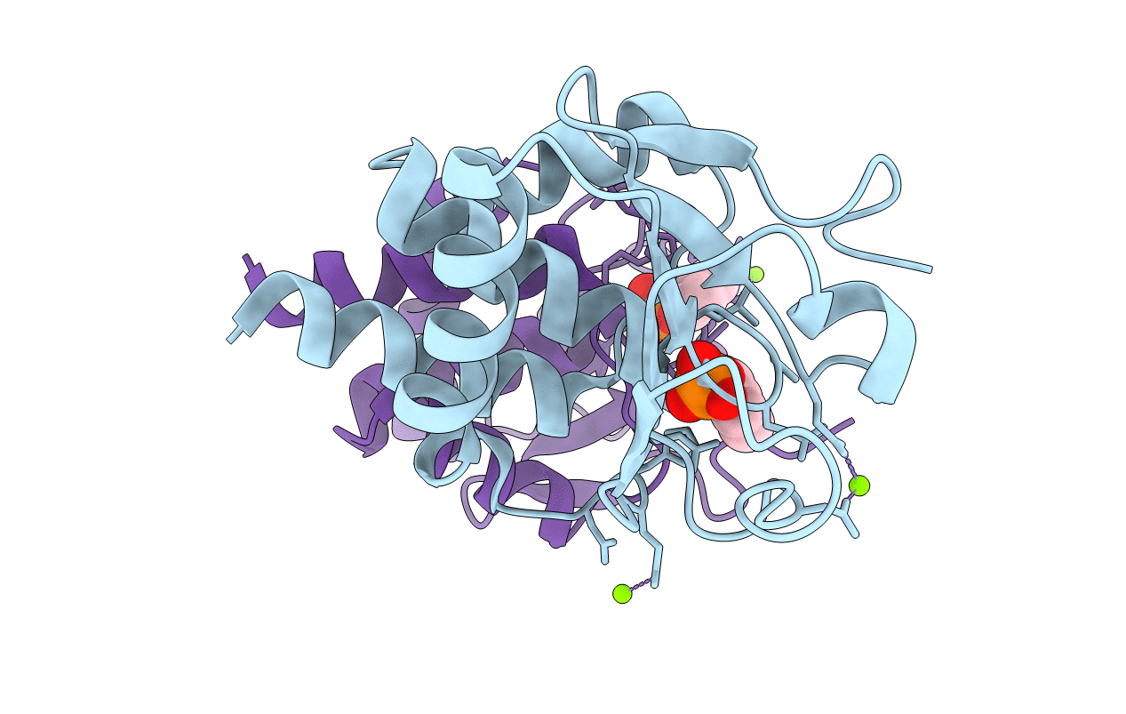 2J17 image