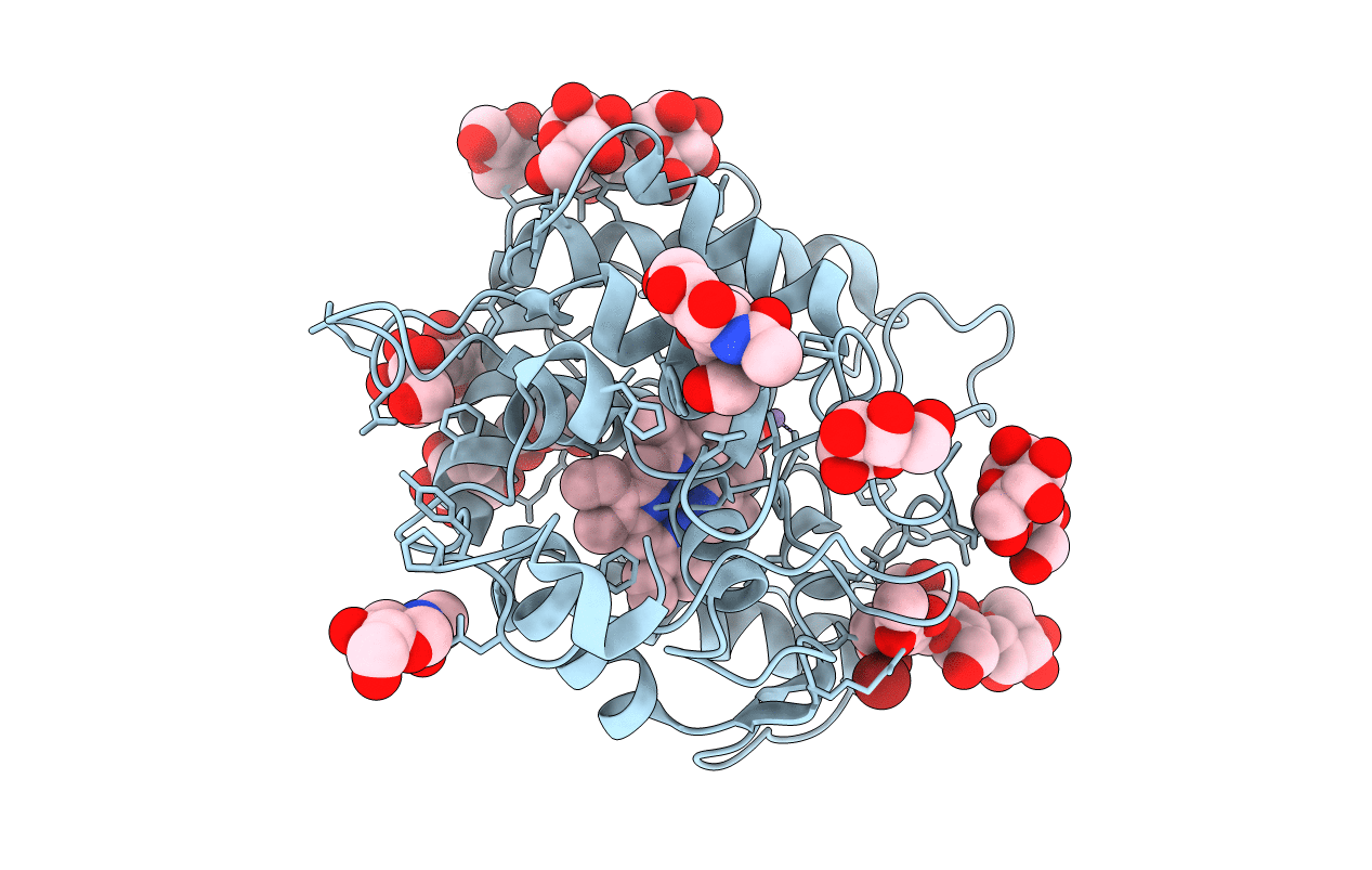 2J18 image