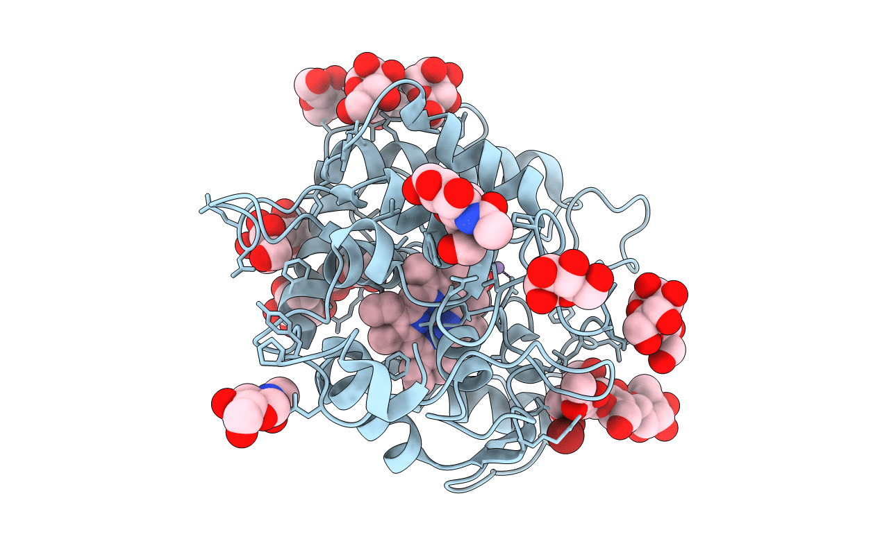 2J19 image