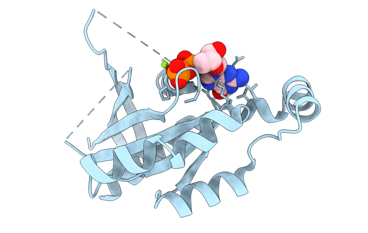 2J1L image