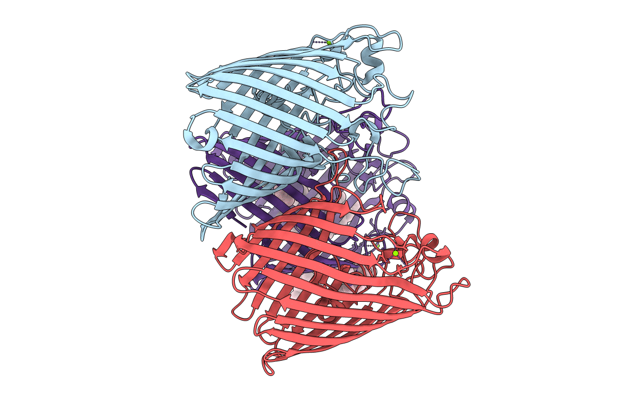 2J1N image