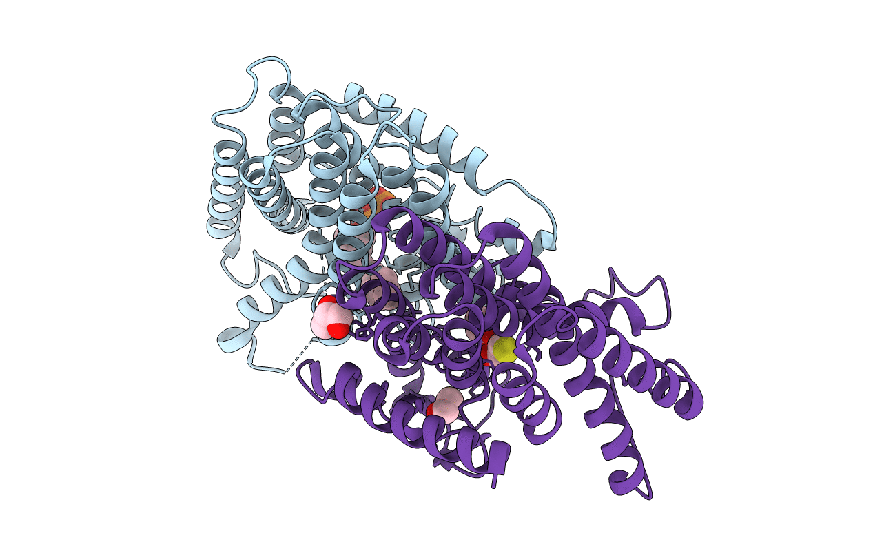 2J1P image