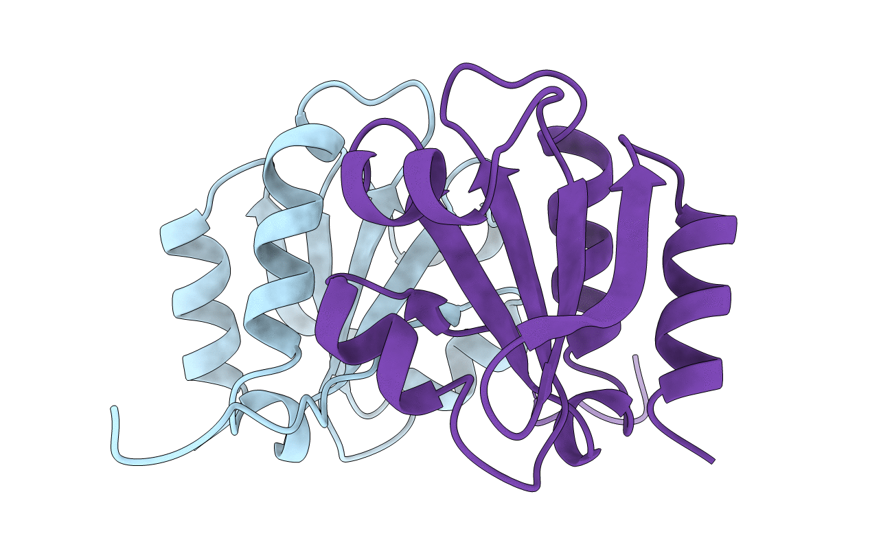 2J23 image
