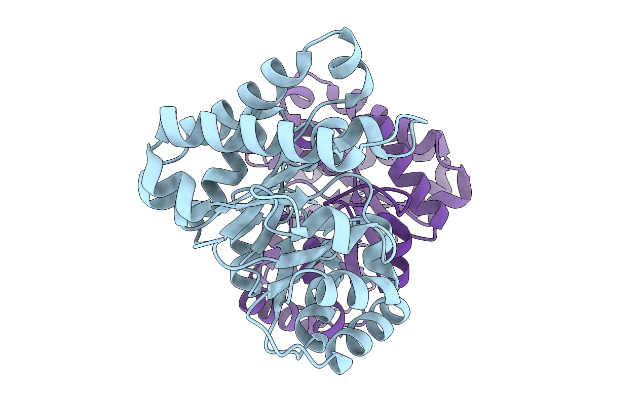 2J24 image