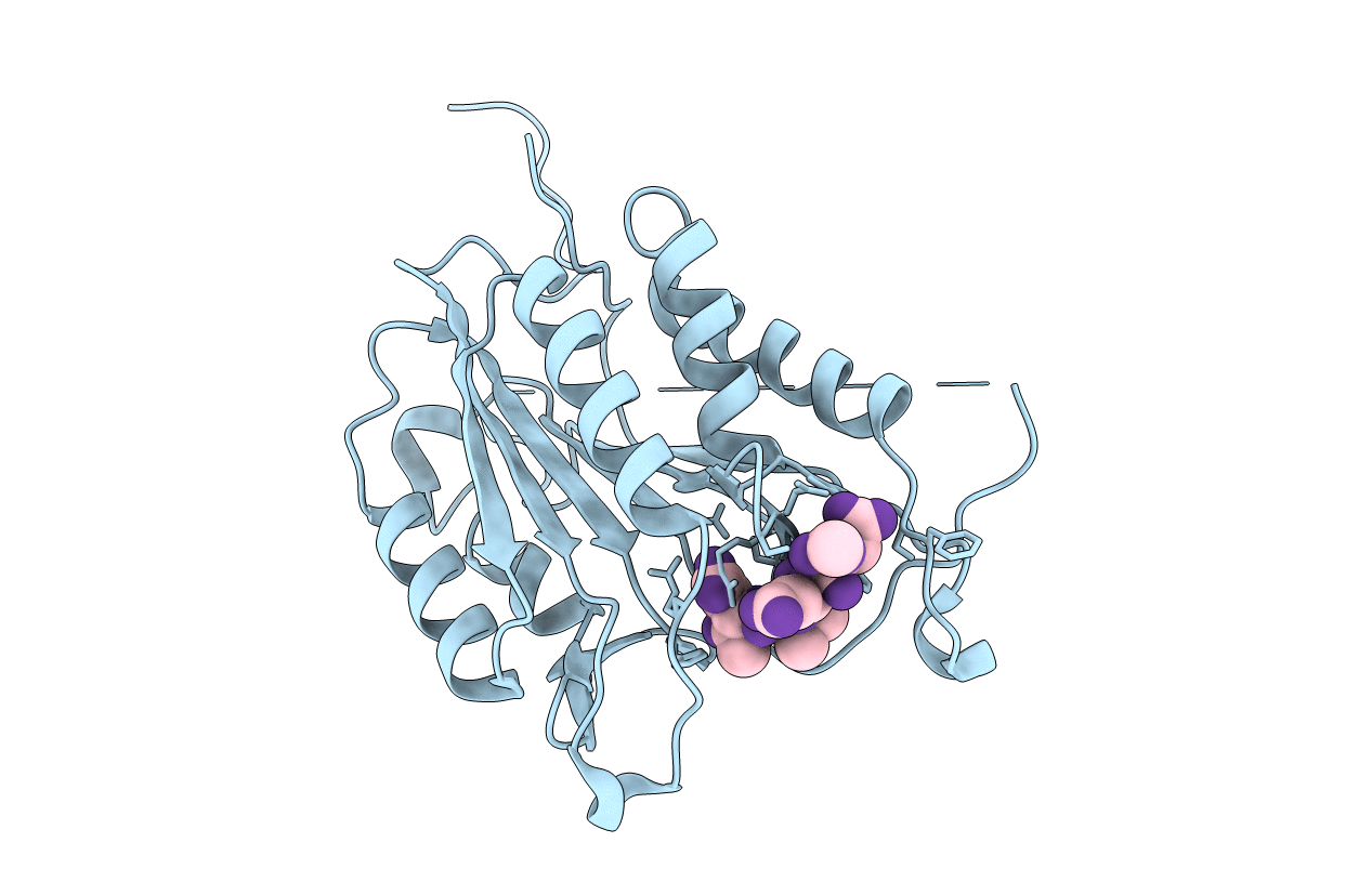2J31 image