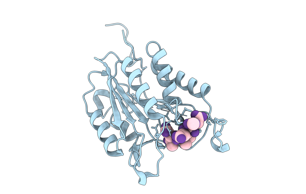 2J33 image