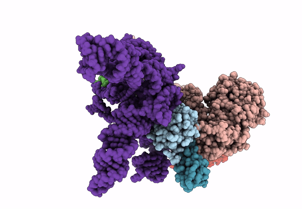 2J37 image