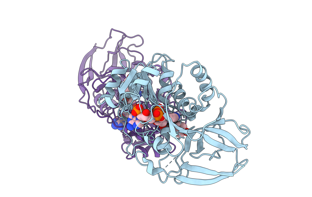 2J3J image