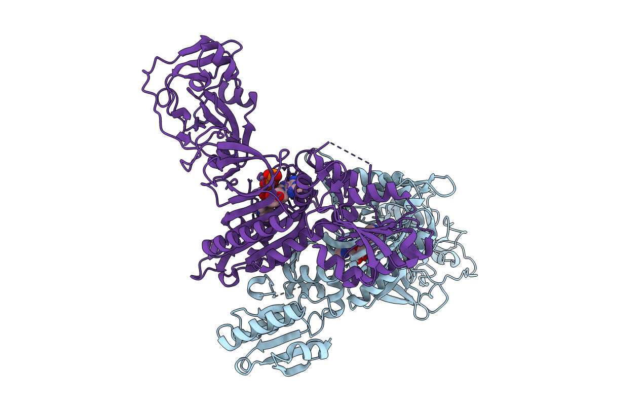 2J3M image