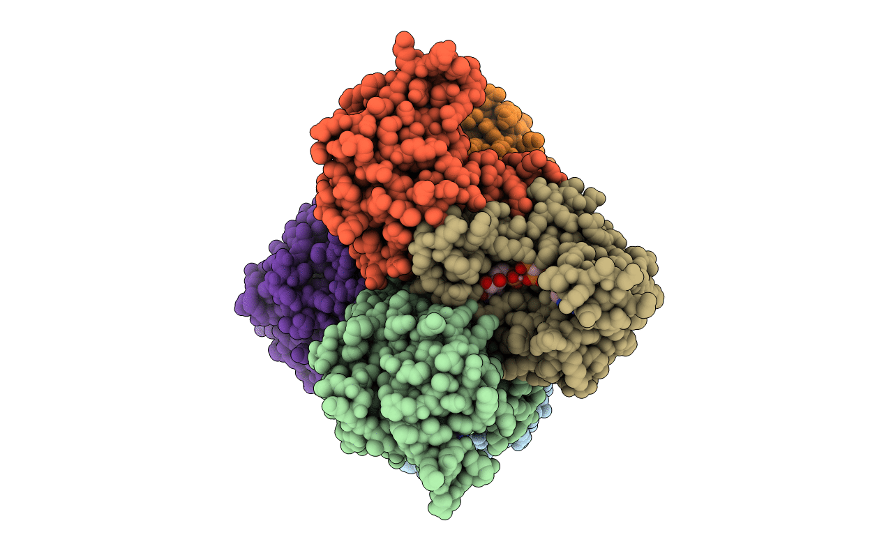 2J4J image