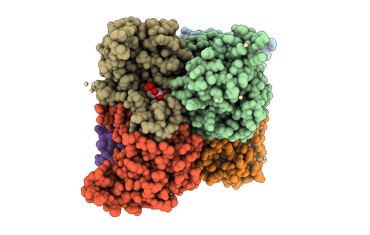 2J4K image