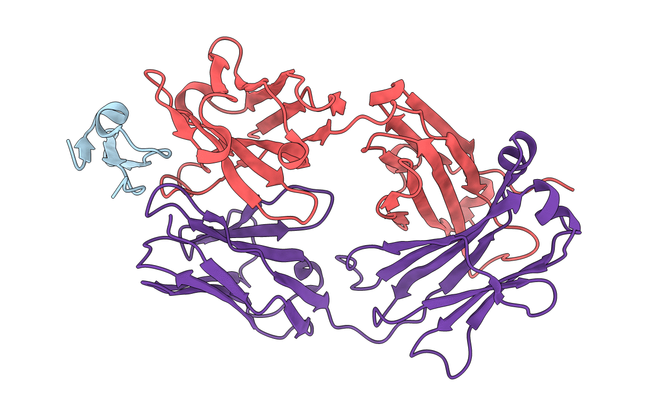 2J4W image