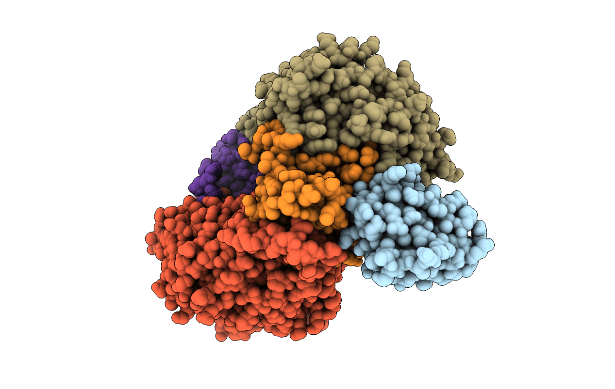 2J56 image