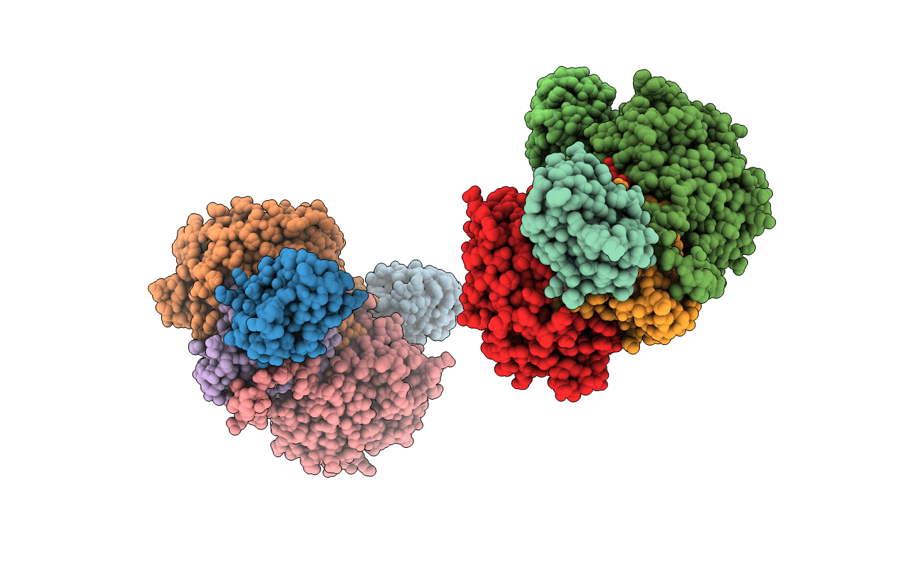 2J57 image