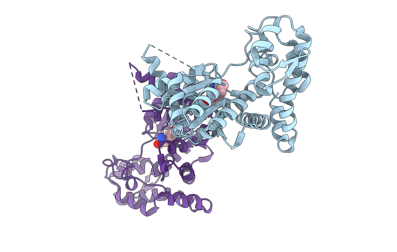 2J5B image