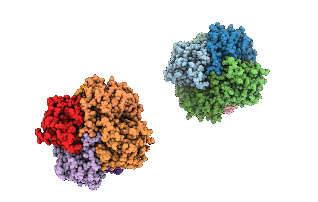 2J5I image