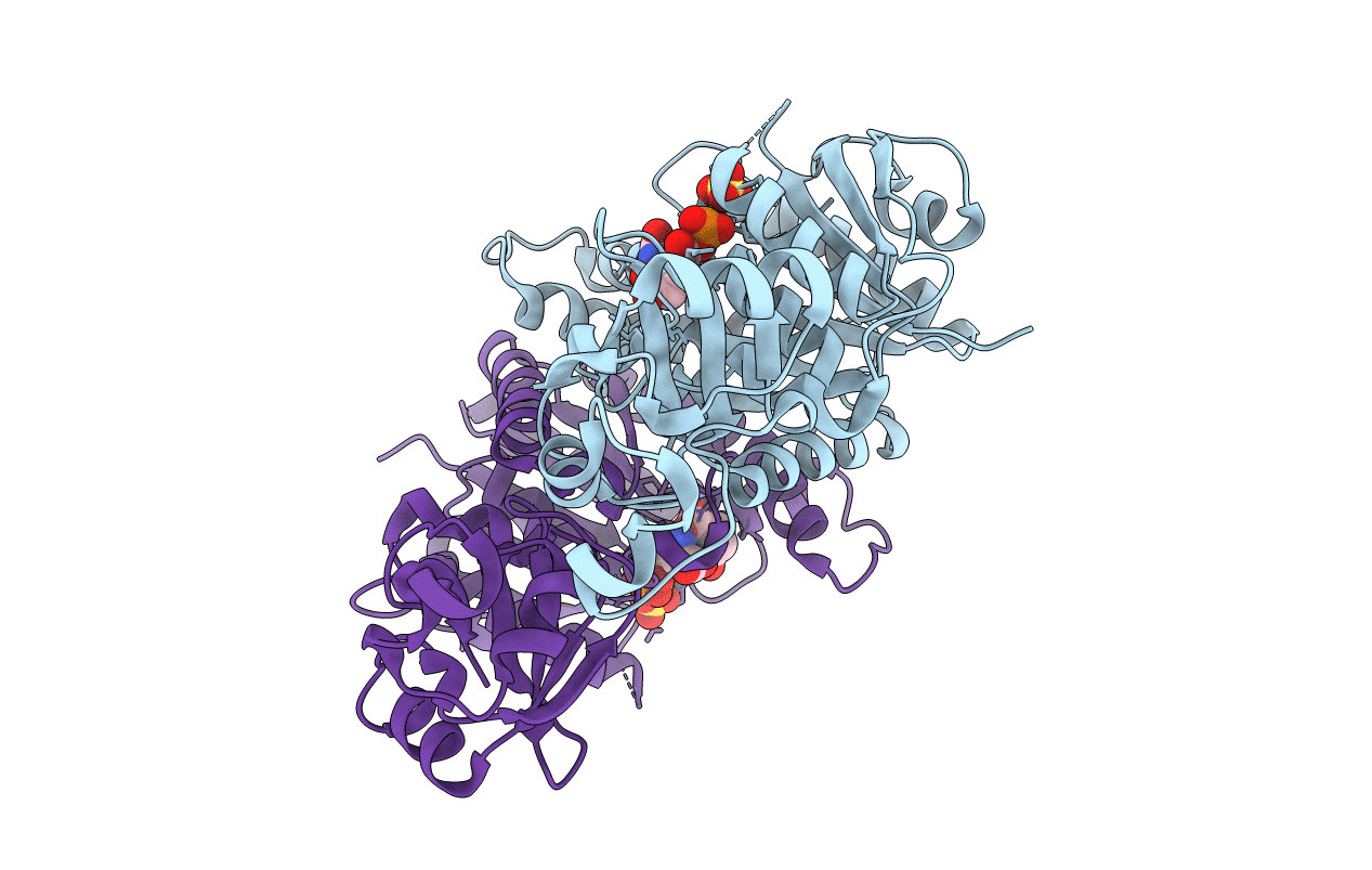 2J5V image
